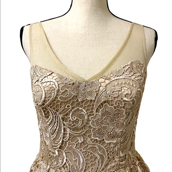 ADRIANNA PAPELL Lace Illusion Midi Size 4 - Picture 3 of 15